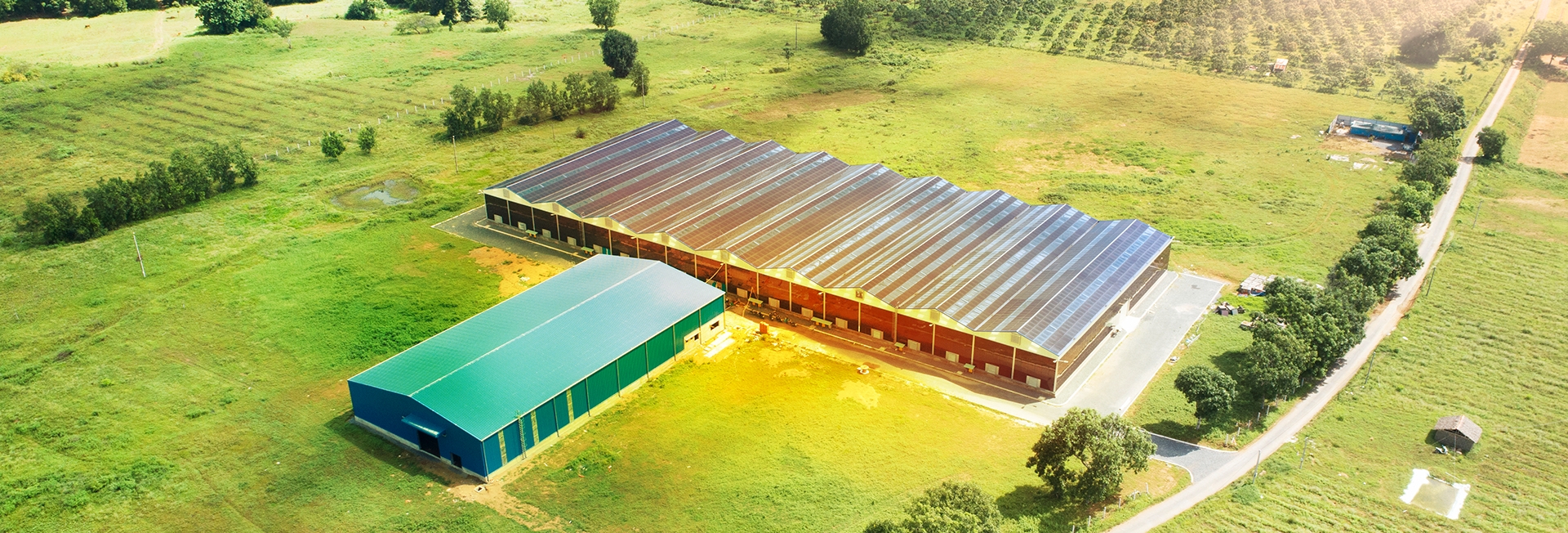 1 tấm pin năng lượng mặt trời giá bao nhiêu